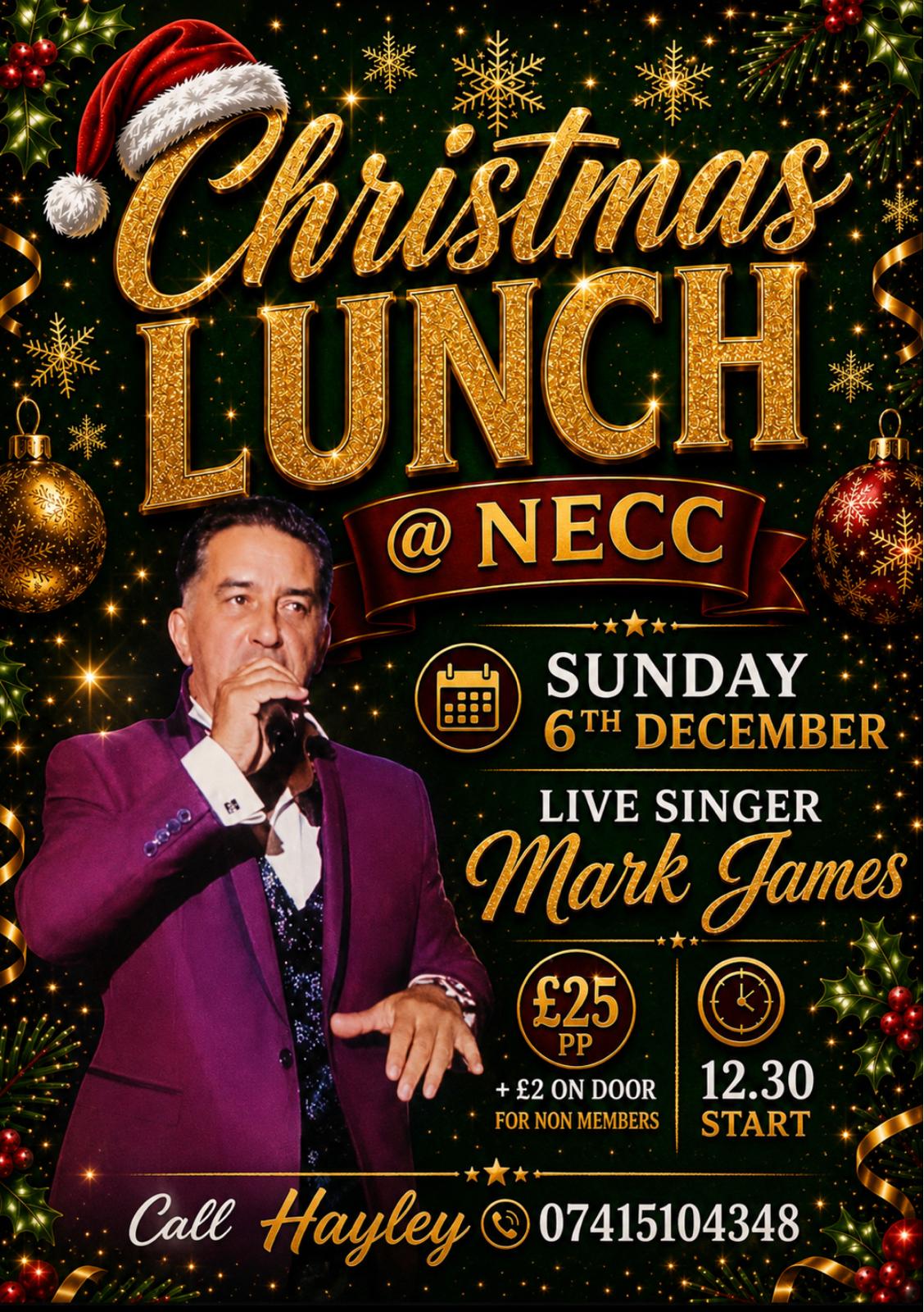 Poster for Christmas Lunch with Mark James